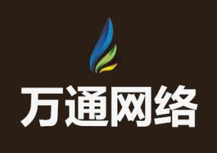計算機技術服務綜合解決方案 從開發到集成與銷售